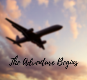 Book your next adventure with Mode Travel